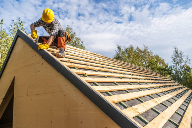Best Roof Gutter Cleaning  in Santa Cruz, CA